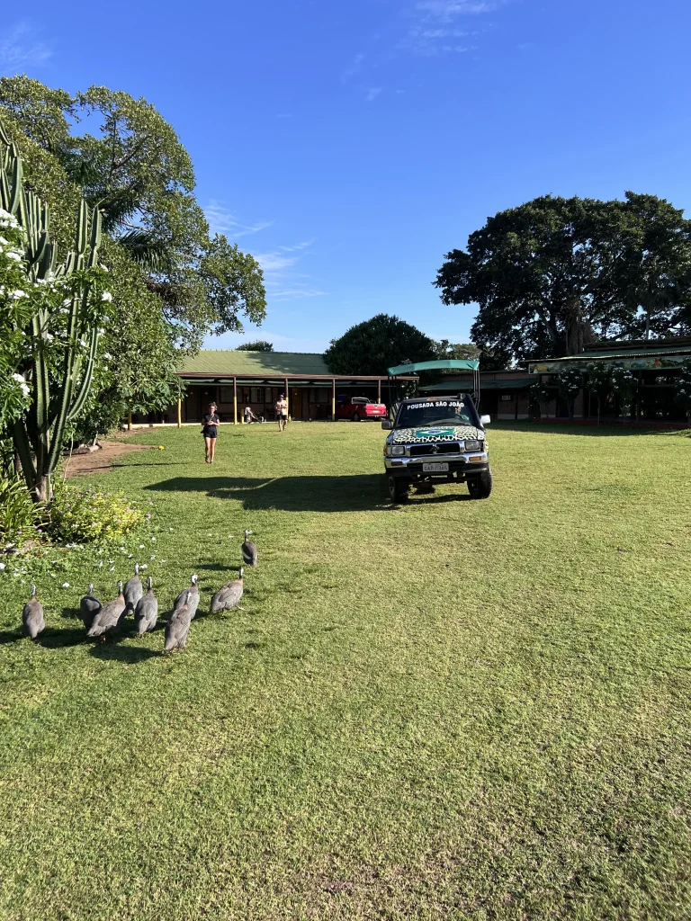 Rejoindre Pantanal